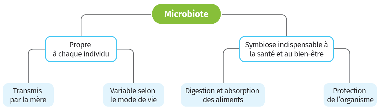 Svt A La D Couverte Du Microbiote